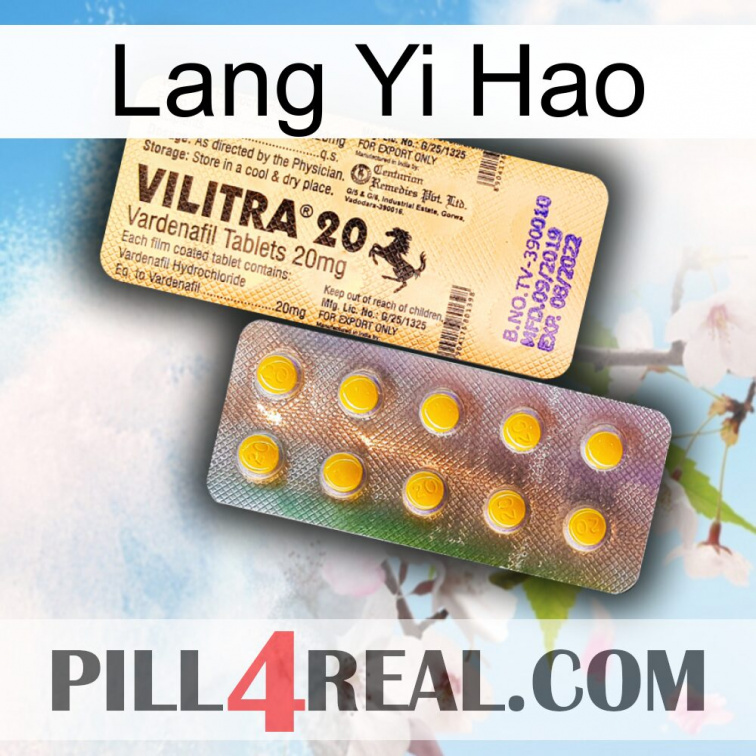 Lang Yi Hao new06